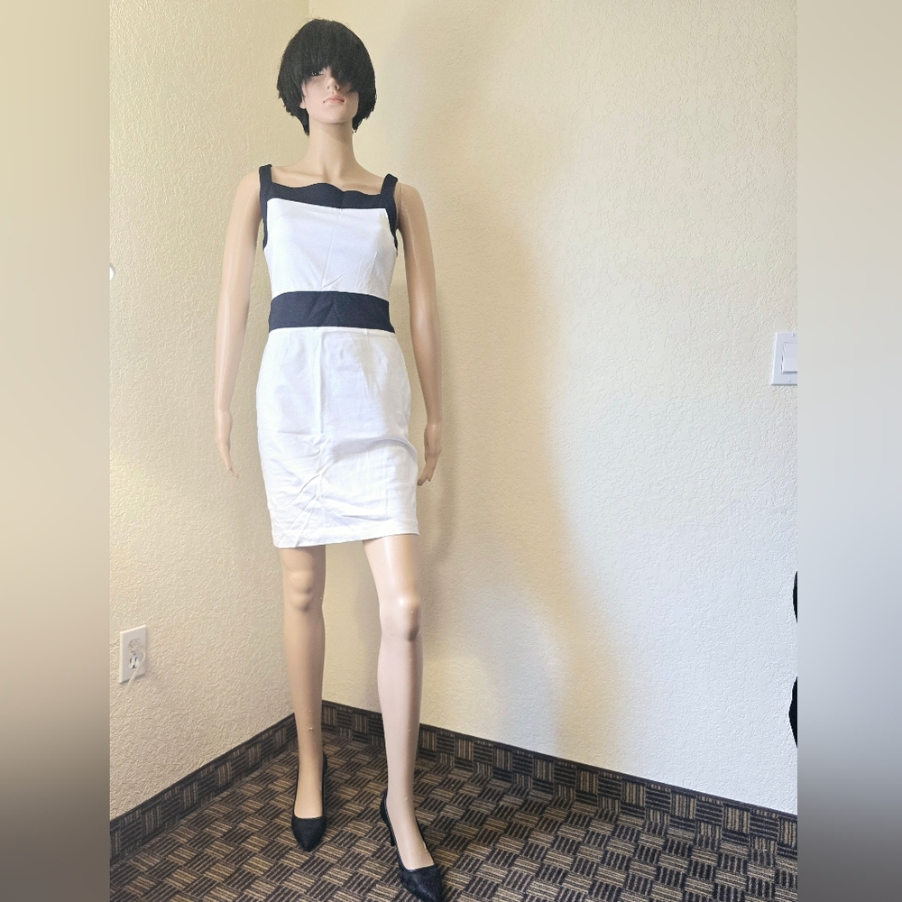 Banana Republic White and Blue Sheath Mini Dress